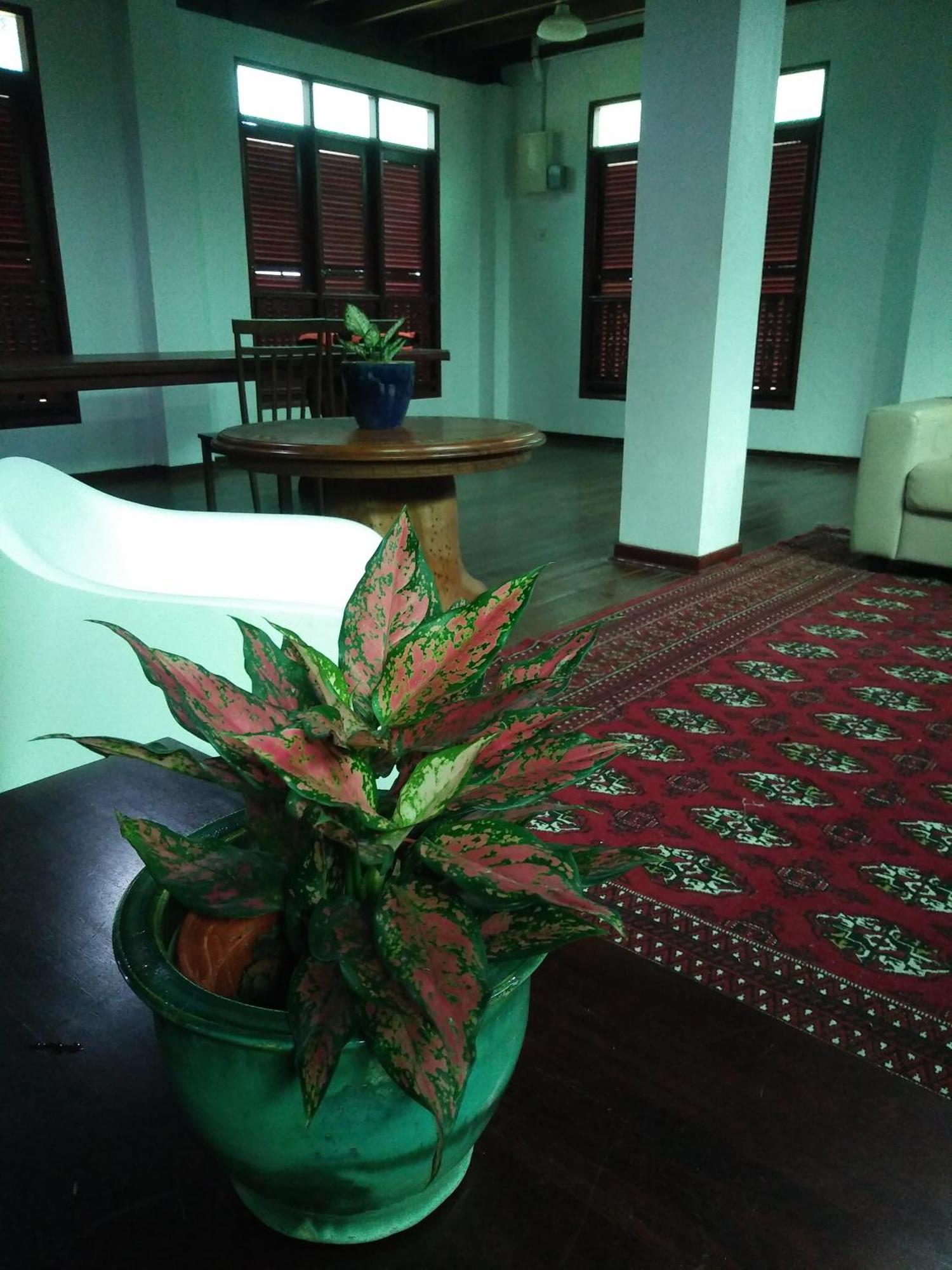 Villa thesanctuary@telagapapan Kampung Hulu Caluk Exterior foto